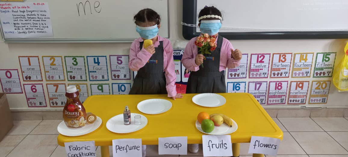 Sensory exploration in the classroom